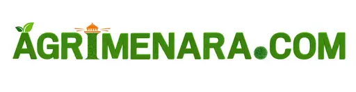 agrimenara