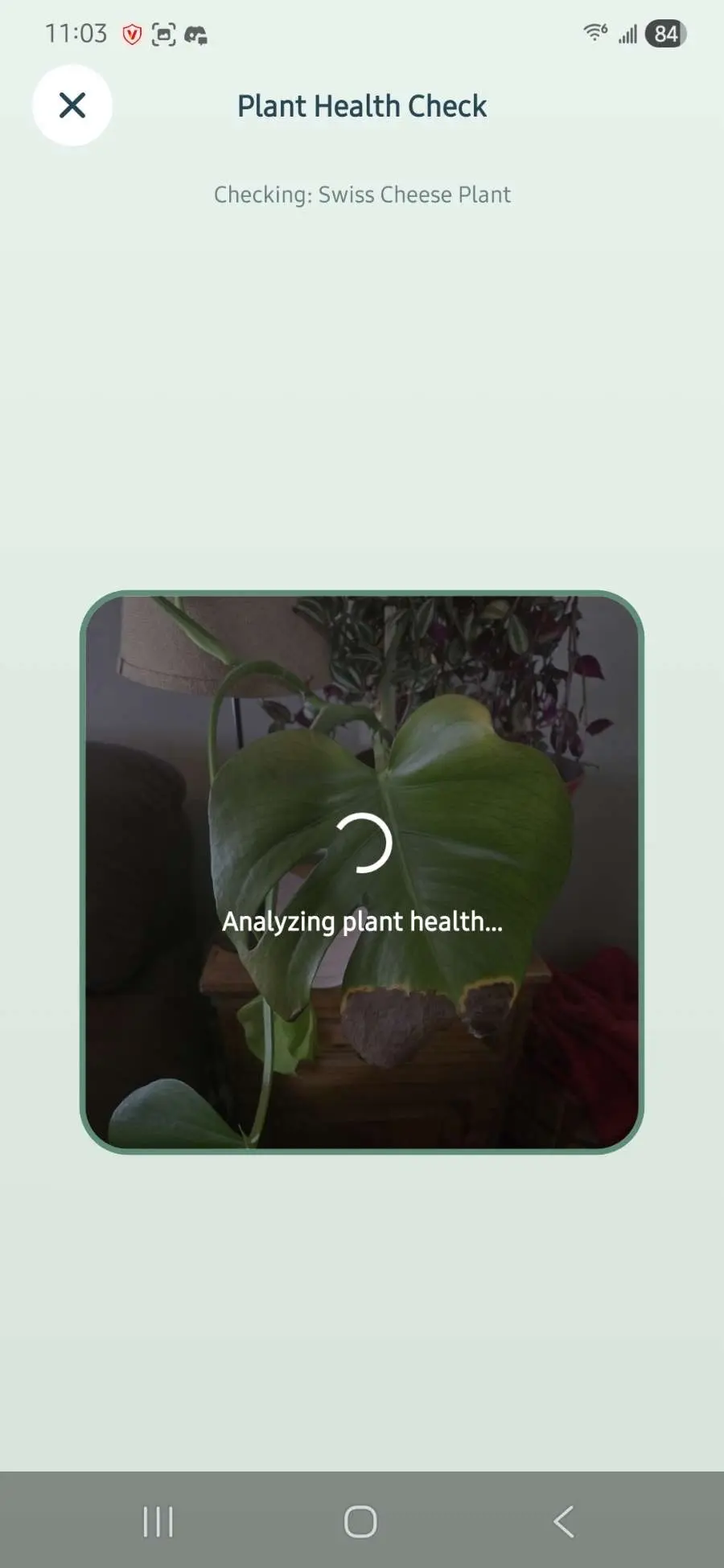 Screenshot 3 of Plant parent
