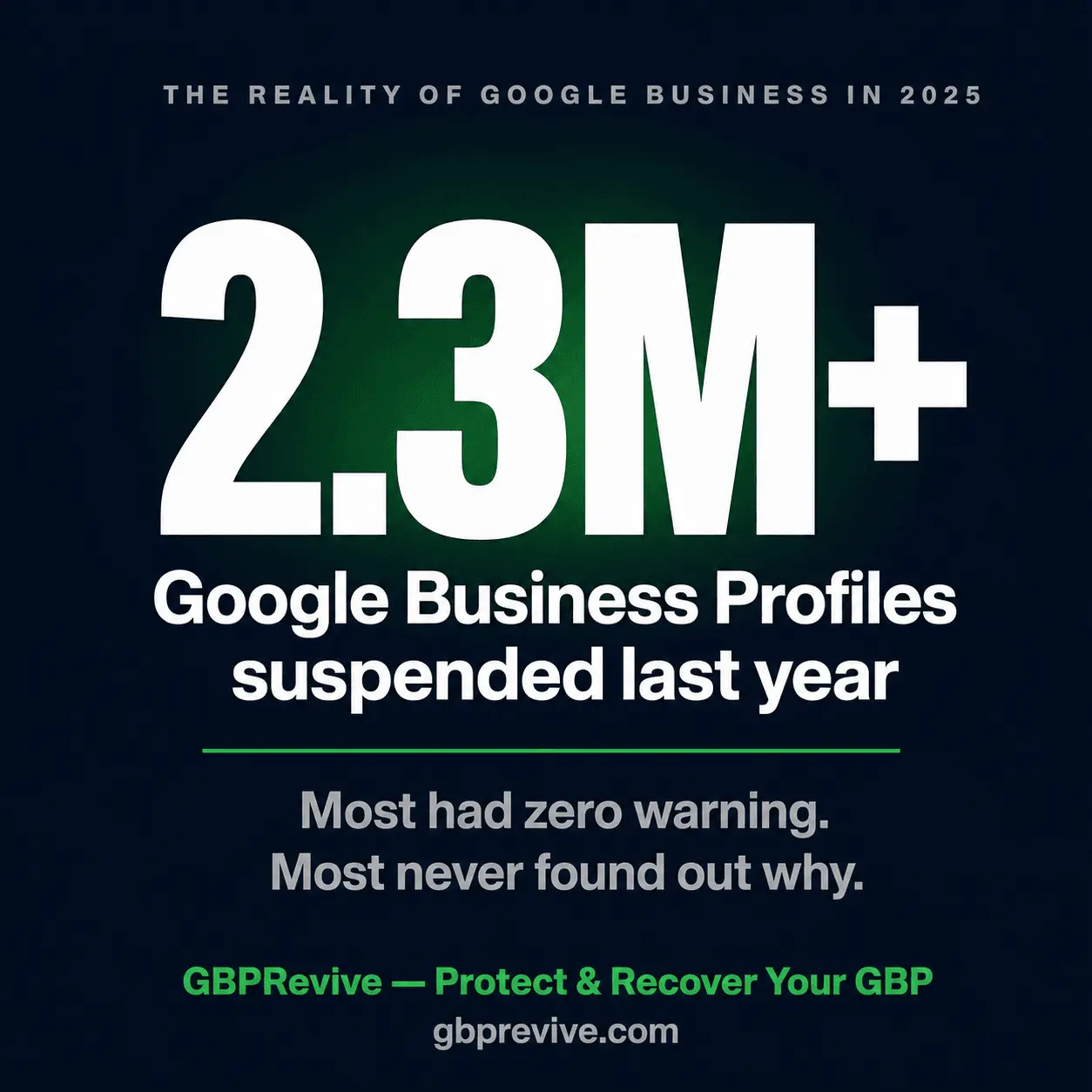 Screenshot 3 of GBPRevive