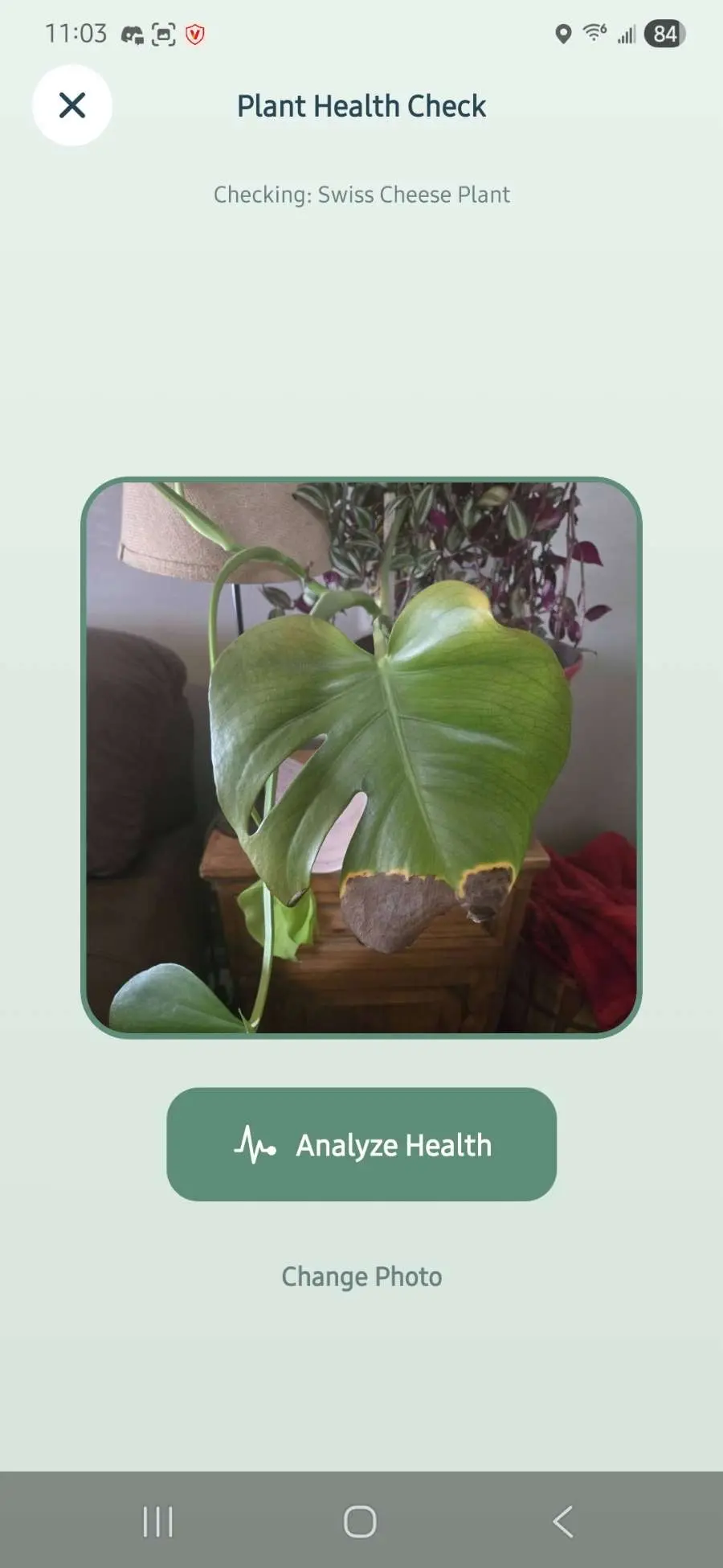 Screenshot 2 of Plant parent
