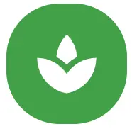 Sprout
