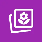 Free Online Image Converter