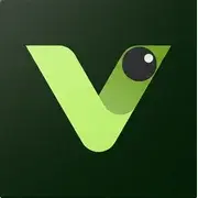 Visly