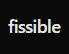 fissible
