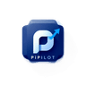 PiPilot Search API