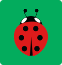 Buglet