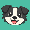Collie