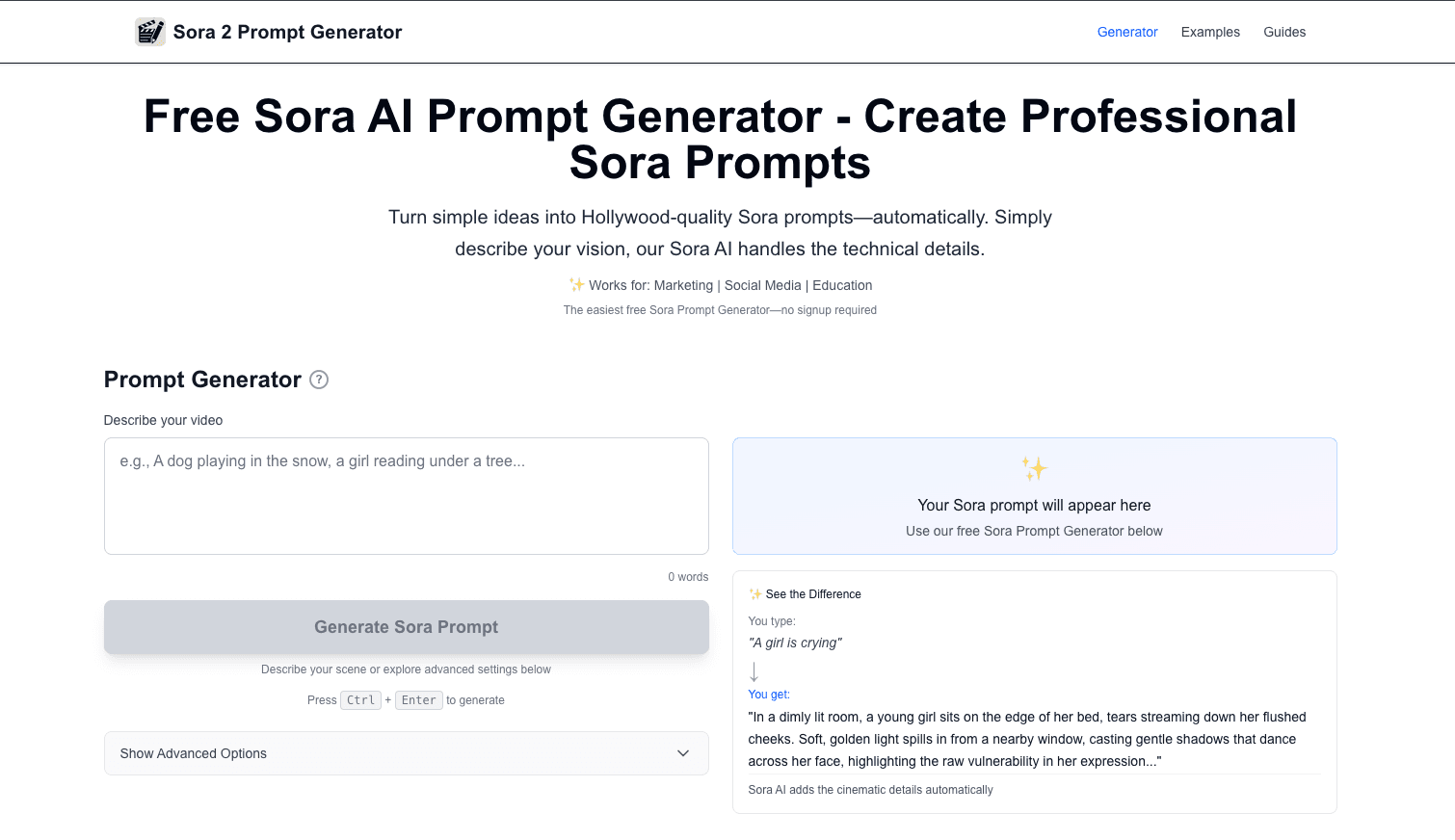 Screenshot 2 of Sora Prompt Generator