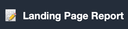 Landing Page Report 