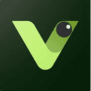Visly
