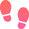 TheColorWalk
