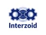 Interzoid AI-Data Enrichment Agent