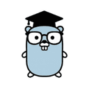 Golang College
