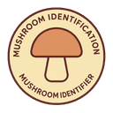 Mushroom Identifier - Fast & Accurate Mu