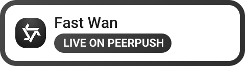 Fast Wan