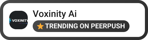 Voxinity Ai